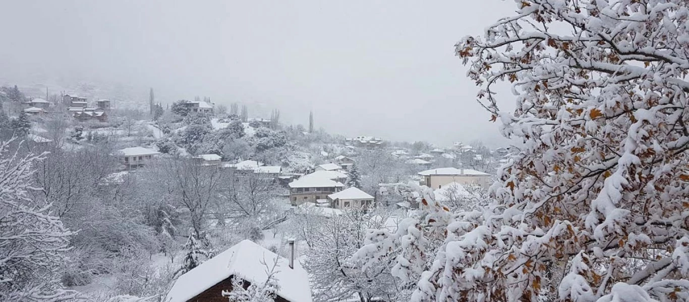 Δείτε εντυπωσιακές εικόνες από την Αγόριανη- Το χιόνι κάλυψε τα αυτοκίνητα (βίντεο-φωτο)